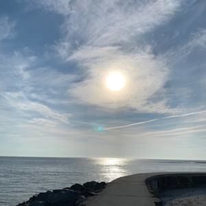 Meet your Posher, Cecilia